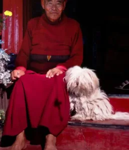mönch-tibet