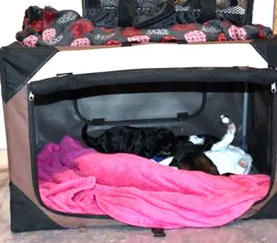 hundebox