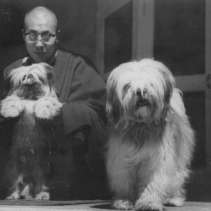  Himalaya die Herkunft unserer Tibet Terrier Mönchn