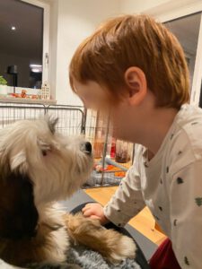 Kinder im Umgang mit Hunde Kind